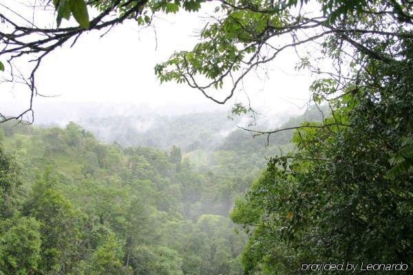 The Canopy Rainforest Treehouses & Wildlife Sanctuary Tarzali Екстериор снимка